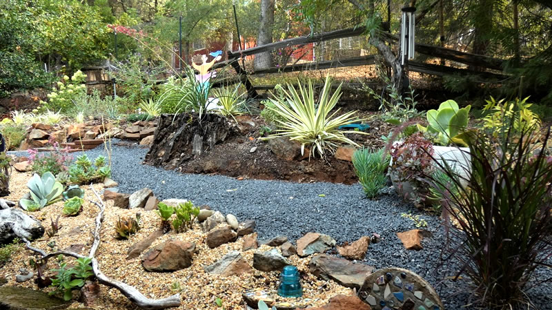 Succulent garden with path