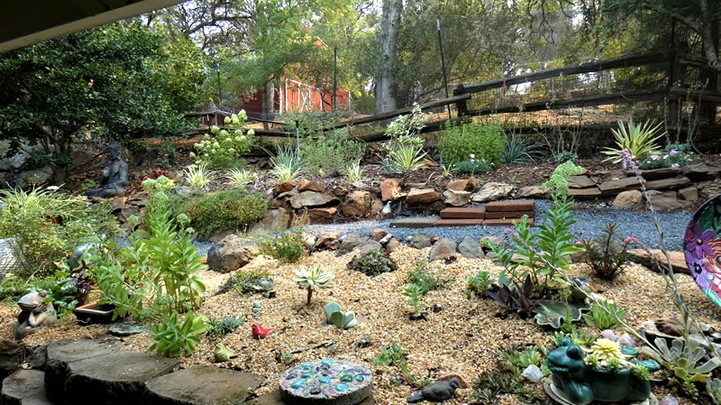 Succulent garden with plants, rocks, garden art