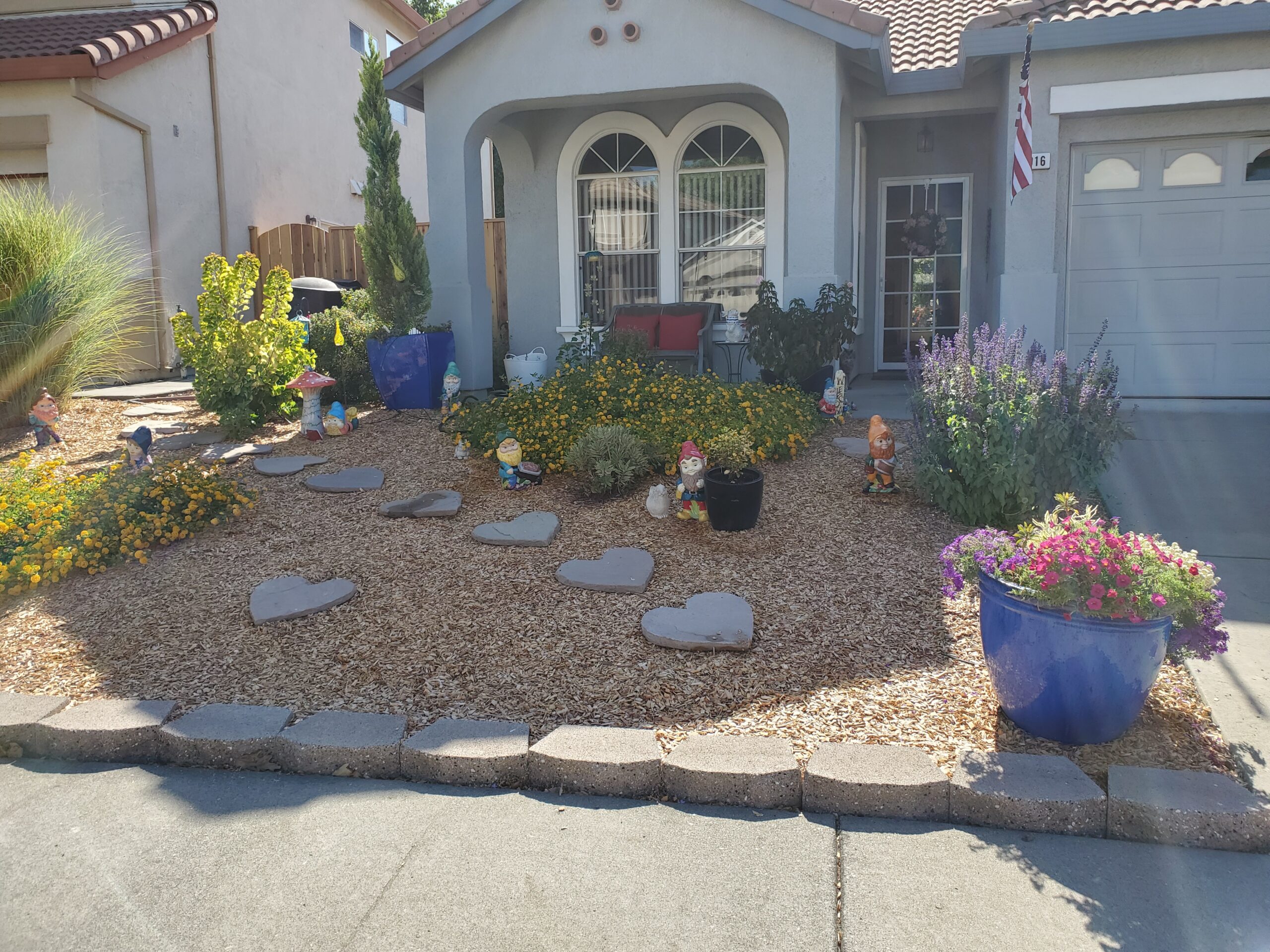 Front yard, flat gravel dotted with high maintenance plants.