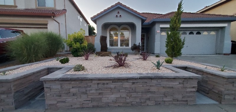 Front yard, raised stone beds, young succulents and other low maintenance plants in balanced plantings.