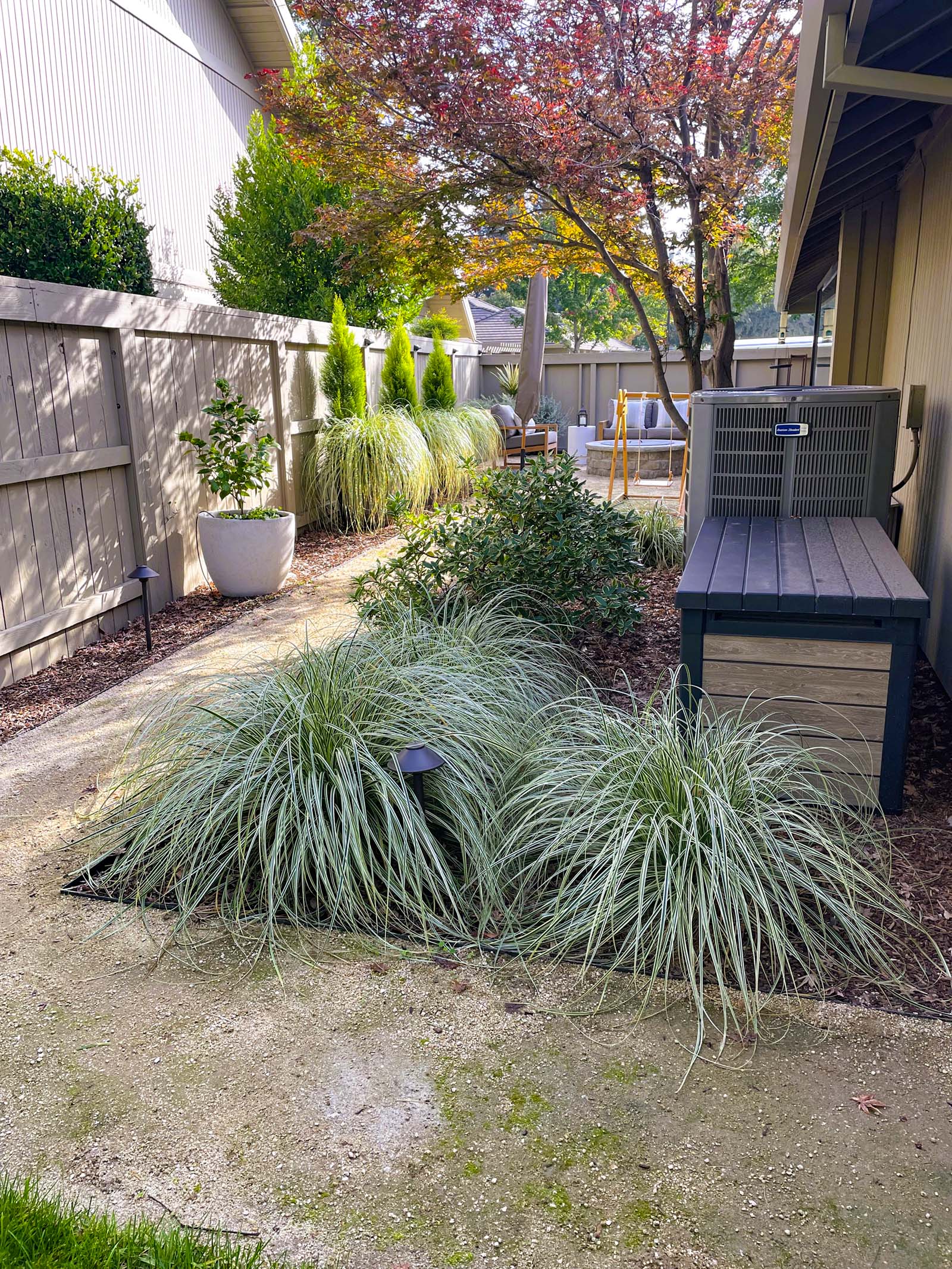Yard area with DG walkway