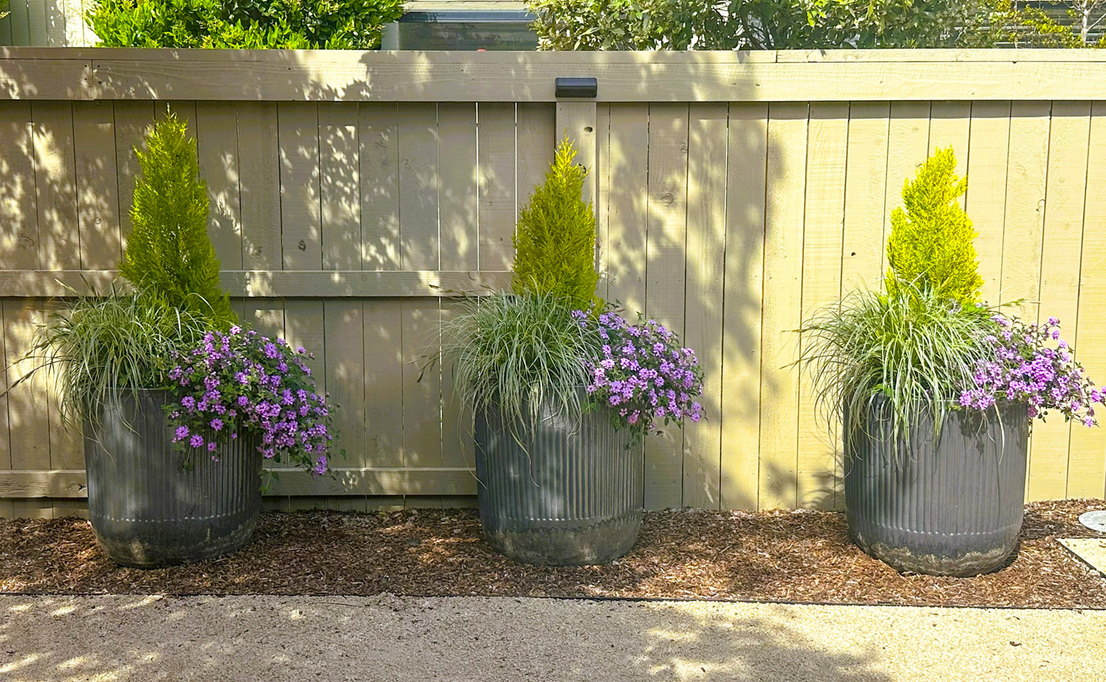Three planted containers along fence.