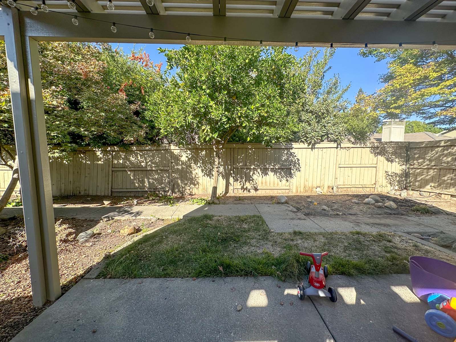 Backyard patio and lawn before renovation.